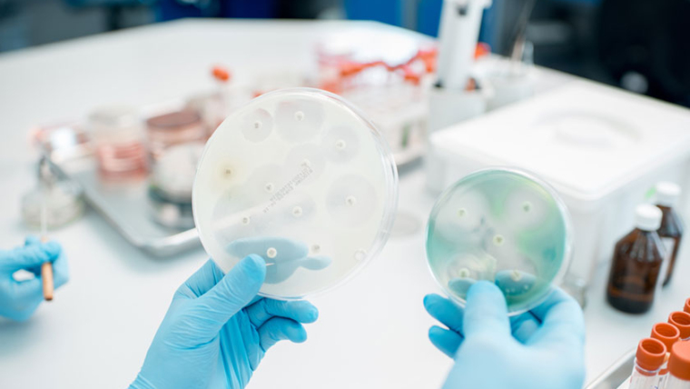 Newly Developed Antibiotic Shows Promising Results in Combatting Antibiotic-Resistant Superbug