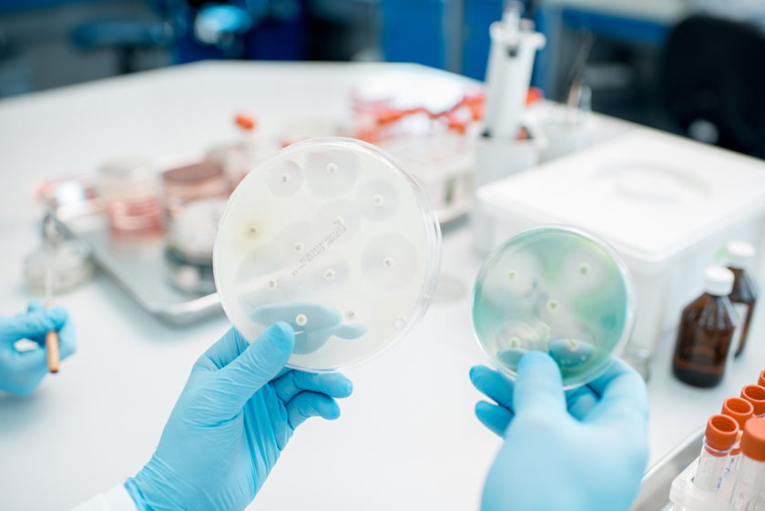 Newly Developed Antibiotic Shows Promising Results in Combatting Antibiotic-Resistant Superbug